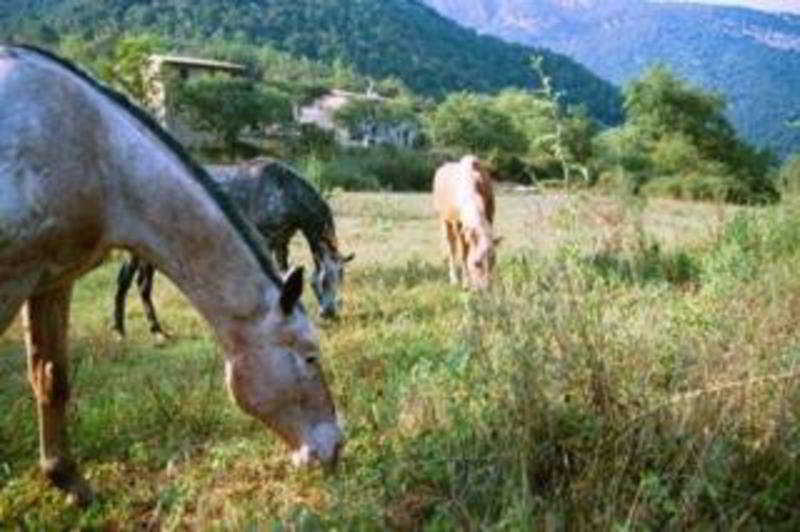 Can Pei Oix Exteriér fotografie